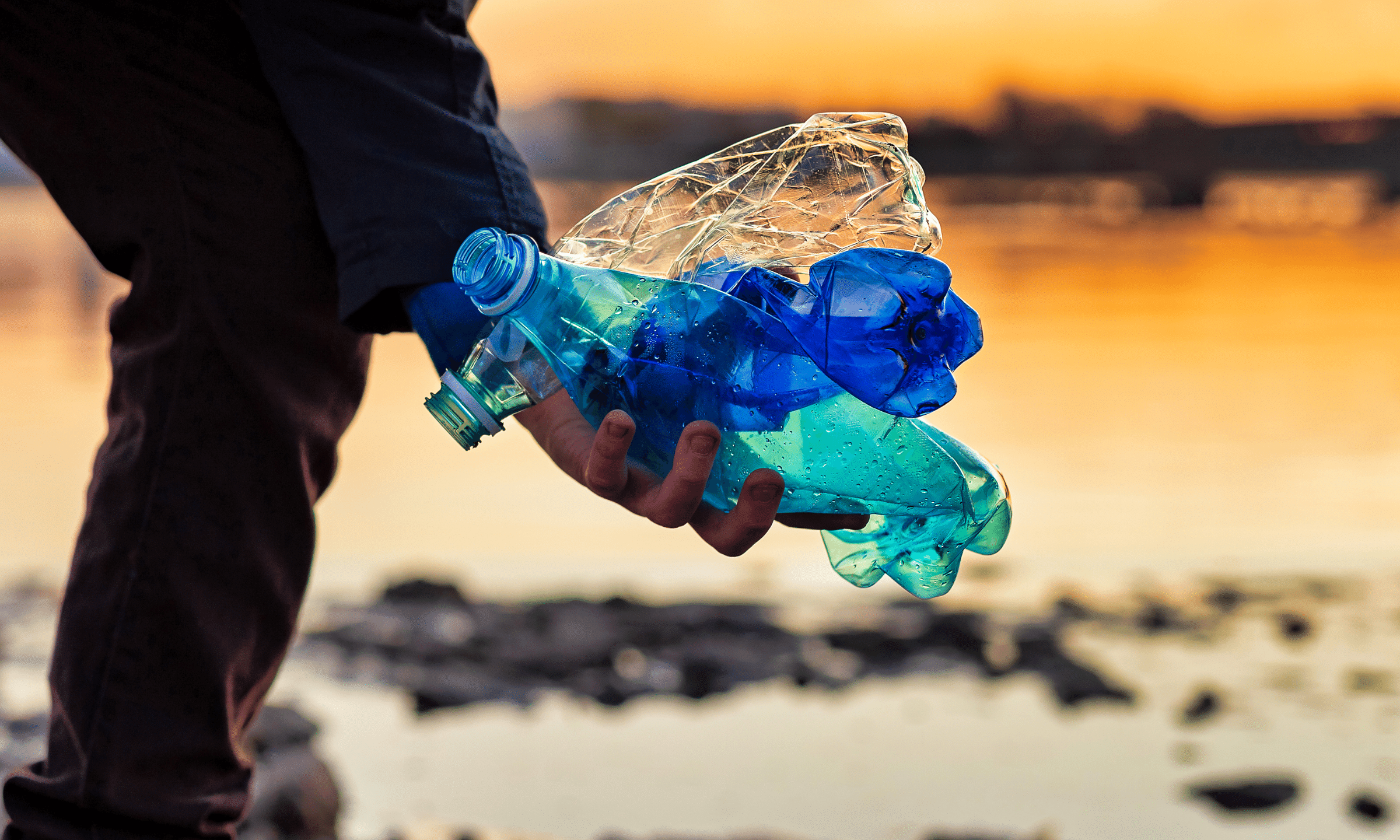 海でペットボトルのごみを拾っている画像