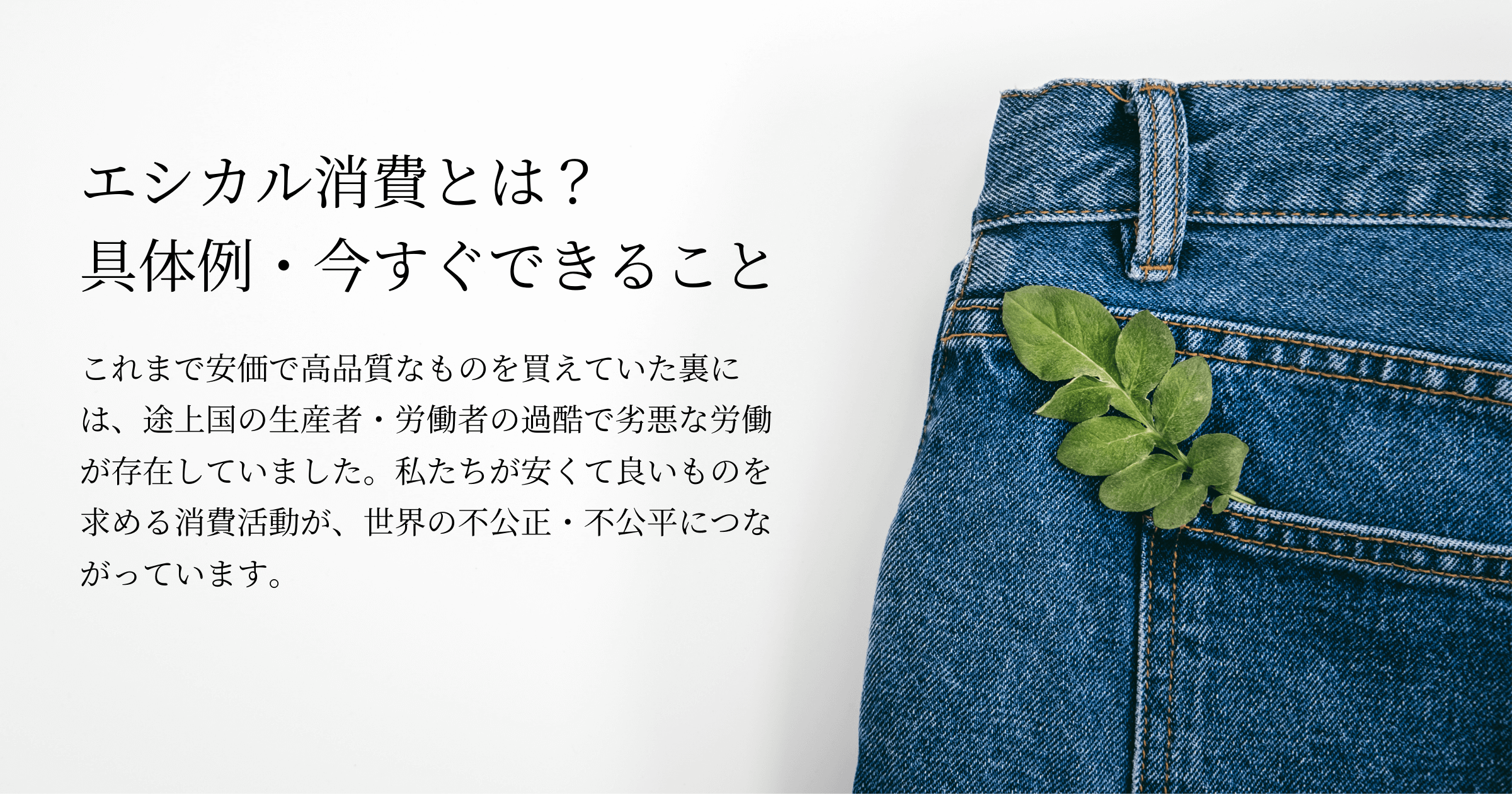 ジーンズのポケットに植物を入れている画像